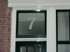 flyer_houten_kozijnen-3_thumb